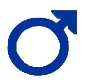 мужской род